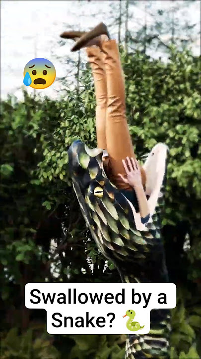 Swallowed by a Snake? 🐍
