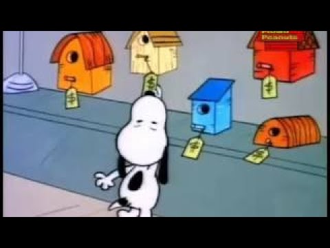 Video: Che tipo di cane era Snoopy?