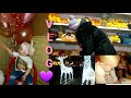 🔥🙈Կյանքը կերա😂Իմ նվերը📦/Մարիայիս Նվերները🛍/Գիշերային զբոսանք👫