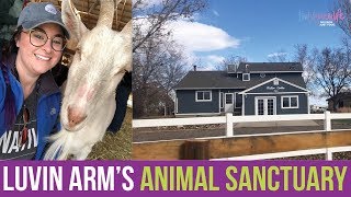 My First Time to visit an Animal Sanctuary | ThatVeganWife by Amy Beth Bolden 11 views 5 years ago 8 minutes, 28 seconds