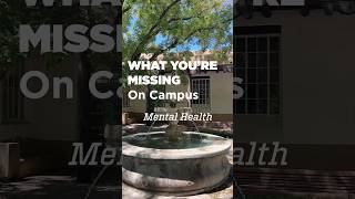 What You&#39;re Missing On Campus - Mental Health #college #unm #collegelife #mentalhealth
