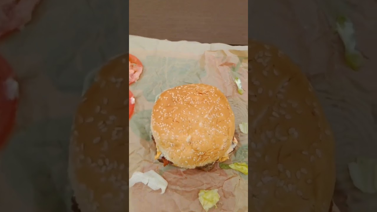 Picnic, w/ Outstanding Burger King (On An Unseasonably Warm Day).  Milo-Grogan. Winter 2023. 🍔 👑