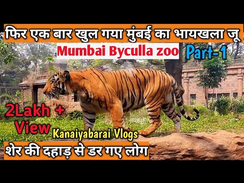 Mumbai Byculla Zoo [ Complete Tour of Rani Baug ] Veermata Jijabai Bhosale  Udyan | June 2022 - YouTube