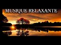 The smart music to sleep very world relaxing