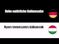 Deutsch   Ungarisch  Ásványi mutrágya alapanyagok