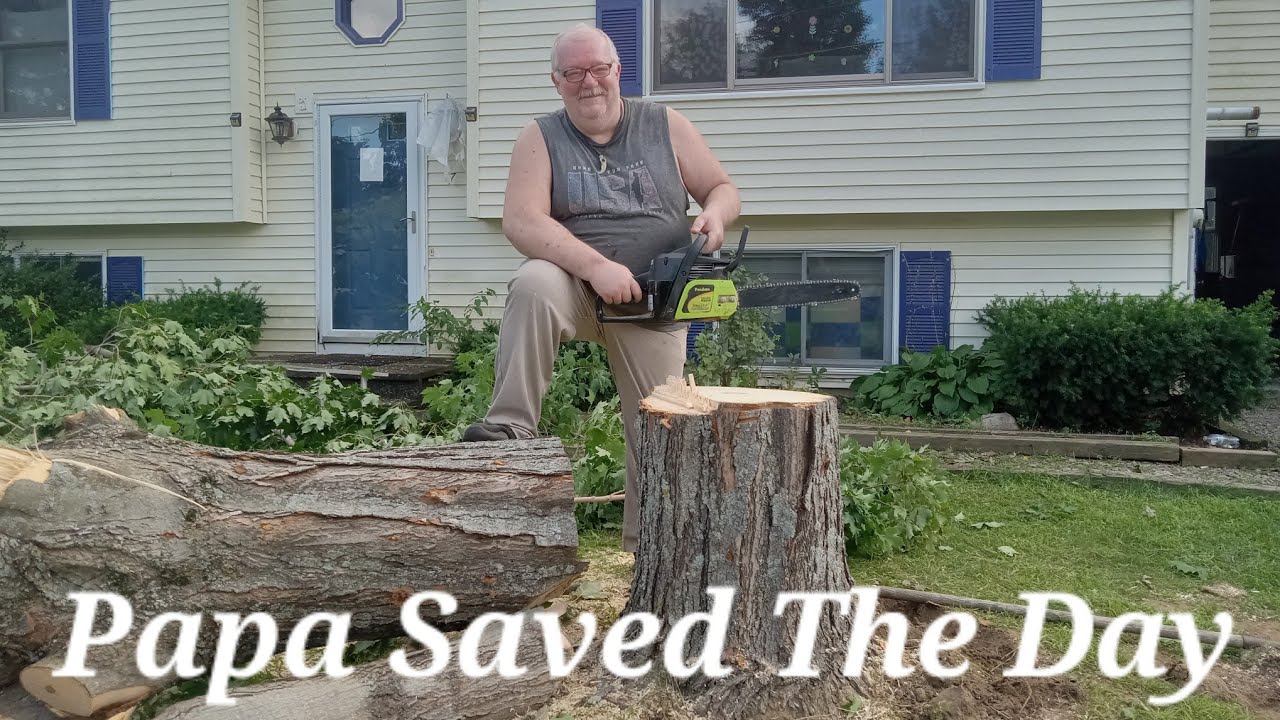 We cut down our Big maple tree and Papa saved the day - YouTube