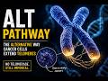 How Some Cancer Cells Become “Immortal” Without Telomerase