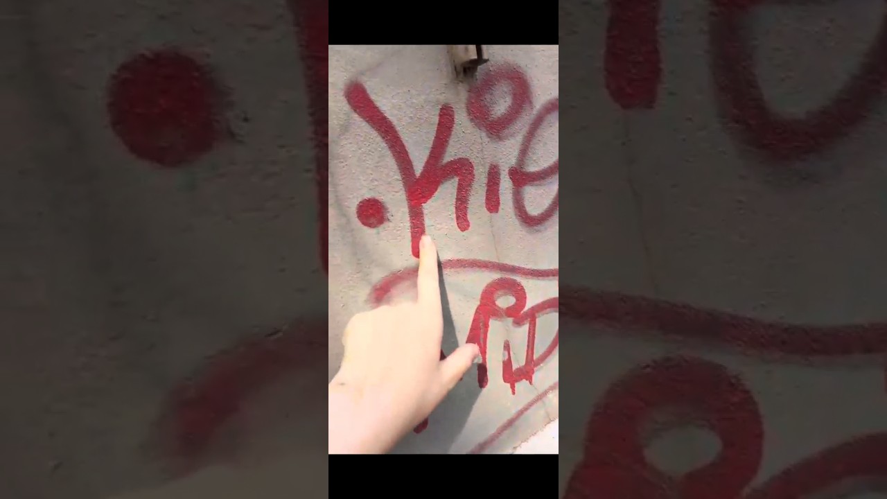 Venus Calls Random Men on the Streets Racial Slurs