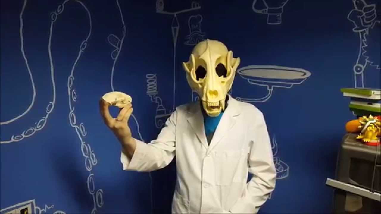 Raccoon Skull Helmet Kit from Hammerspace