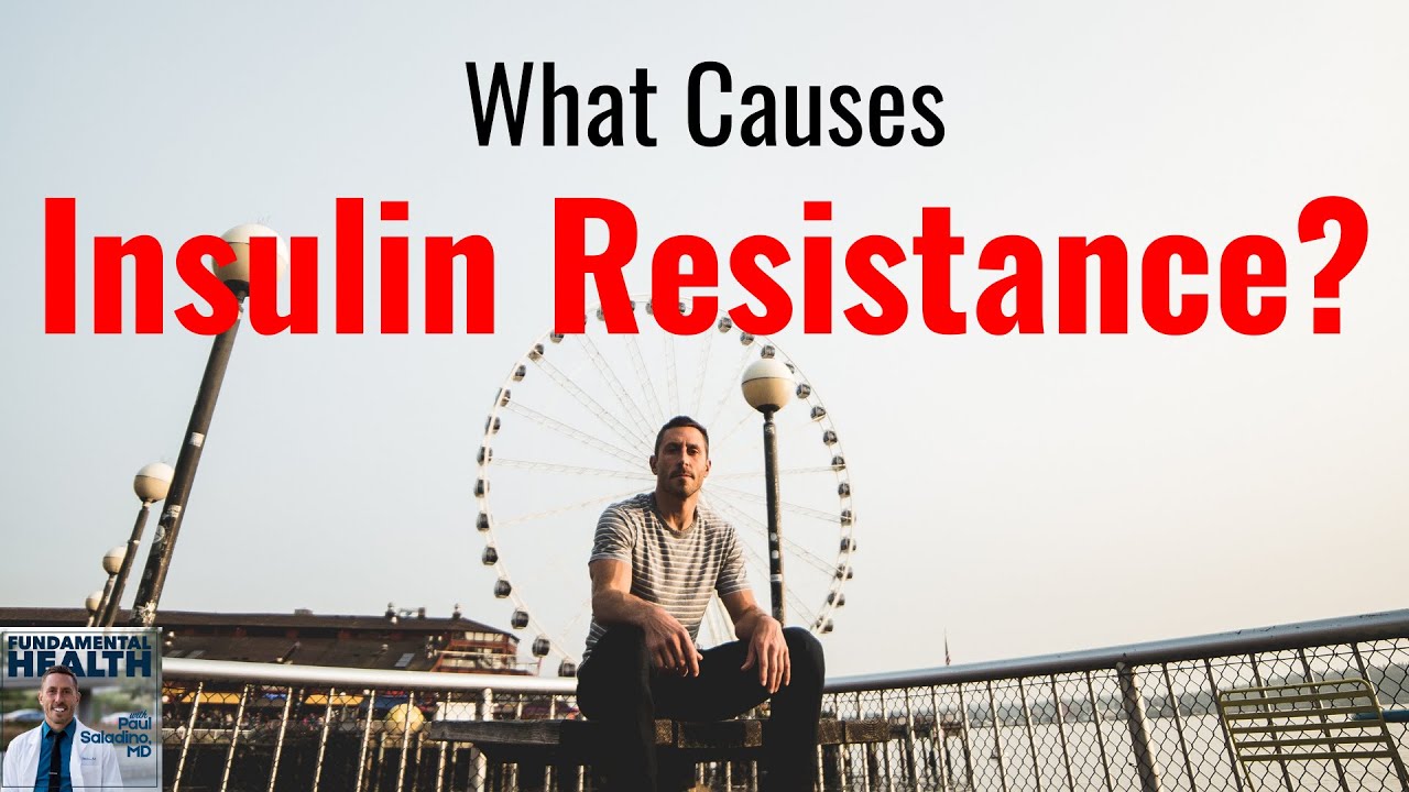 What Causes Insulin Resistance 