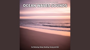 Ocean Waves Sounds, Part 2
