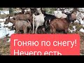 ВЫЖИВАЕМ КАК МОЖЕМ