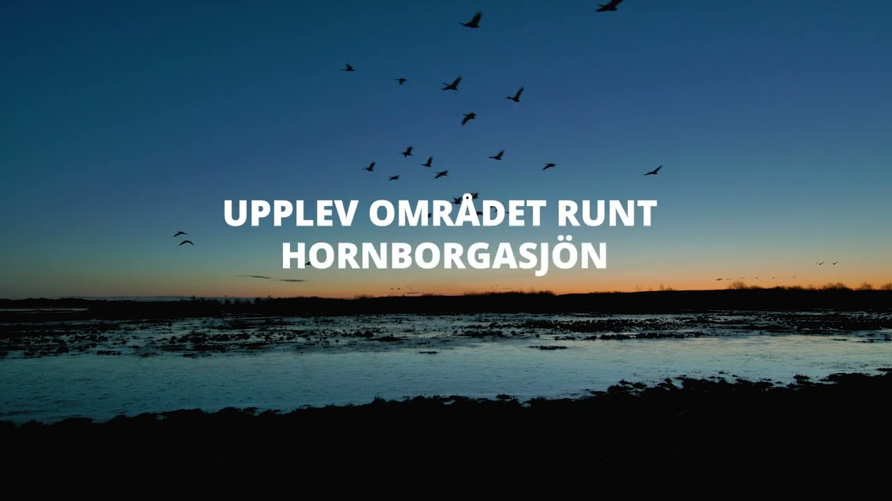 Upplev området runt Hornborgasjön från gryning till skymning!