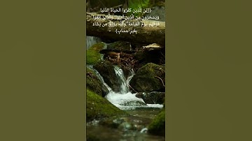 #تلاوة_عذبه #musliman #قرآن #quran #تلاوة_خاشعة #muslima#مسلم#تلاوات  #آيه_من_كتاب_الله#تلاوة_القران
