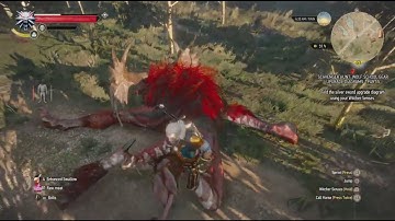 Witcher 3 - crazy fiend ragdoll