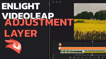 Videoleap | Adjustment Layer