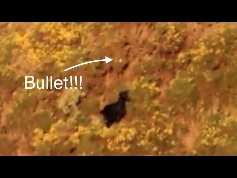 780 yards 300 win mag. Bullet flight