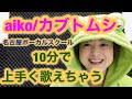 【歌い方】『カブトムシ/aiko』の歌い方を解説します！ポイントはビブラートとこぶしそしてブレスの位置！