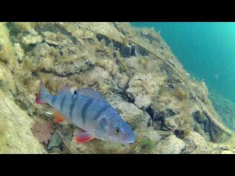 Video: Turecko Zaplavilo Starobylé Osídlenie Na Vybudovanie Priehrady