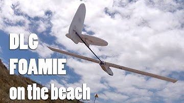 DLG style  foamie on the beach