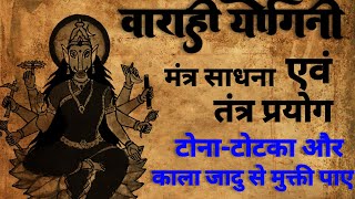 Devi Varahi Yogini Sadhan | वाराही योगिनी साधना | वाराही तंत्र | #mantratantra