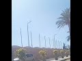 اجمل شارع بالاسكندريه شارع الاكاديميه البحريه بابو قير اجمل شارع بالاسكندريه شارع الاكاديميه البحريه بابو قير
