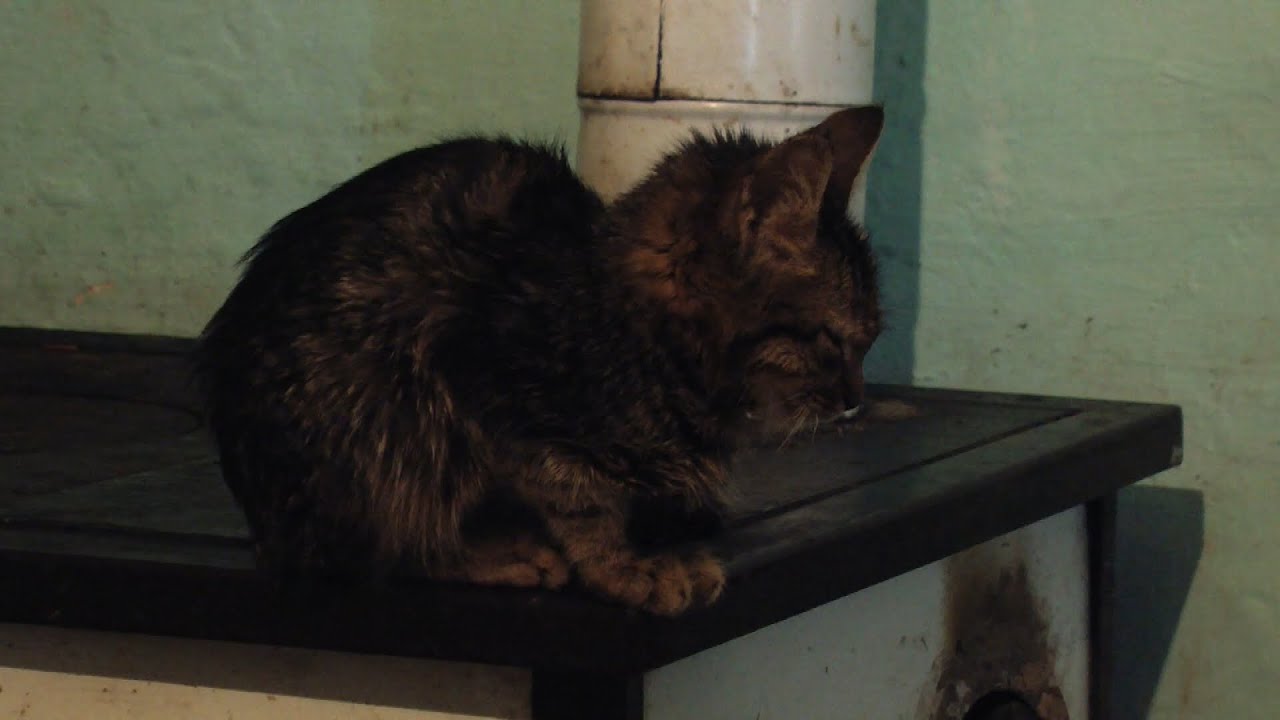 GYULAJ EGY ÉVE - 1. rész TÉL