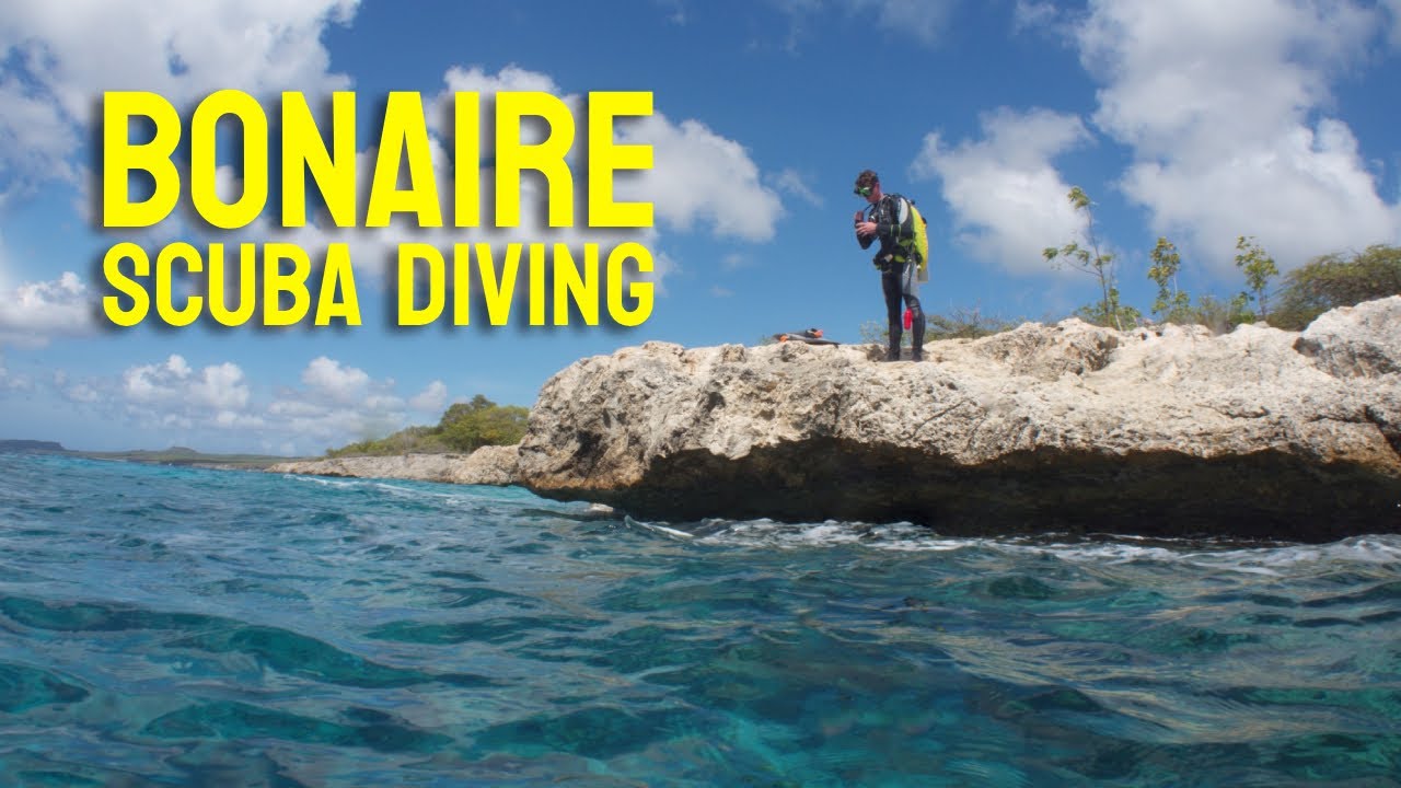 Bonaire November 2025 Group Dive Trip