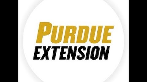 Logging in to Adobe Spark Premium