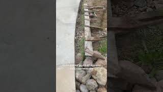 своими руками ландшафт #дача #клумба #цветы
