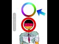 本当の色は何🇺🇸🇩🇪🇫🇷#countryhumans #ポーランドボール #カントリーヒューマンズ #edit #countryhumansedit #animation #alightmotion
