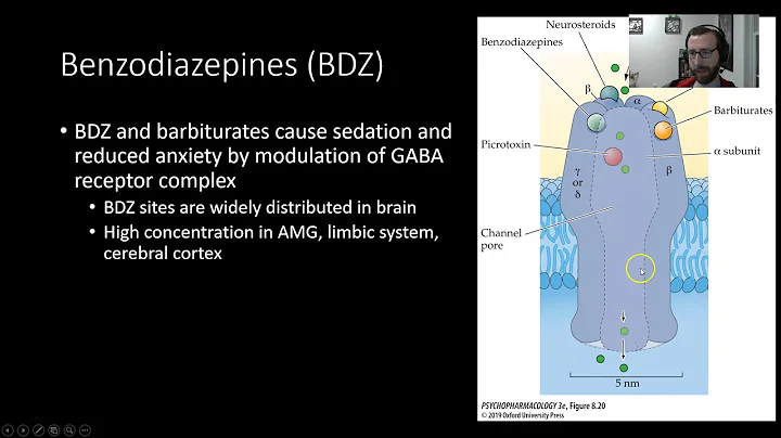 PSY305: Anxiety: Anxiety and GABA