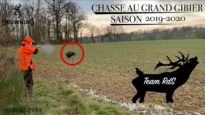 Chasse Sangliers, Cerfs, Chevreuils, Renard / Team...