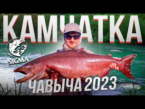 РЫБАЛКА НА КАМЧАТКЕ | ЧАВЫЧА 2023 | САМЫЕ ДИКИЕ МЕСТА НА РЕКЕ | King salmon Fishing! |