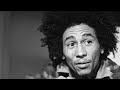 Bob Marley The Wailers I Shot The Sheriff Instrumental mp3
