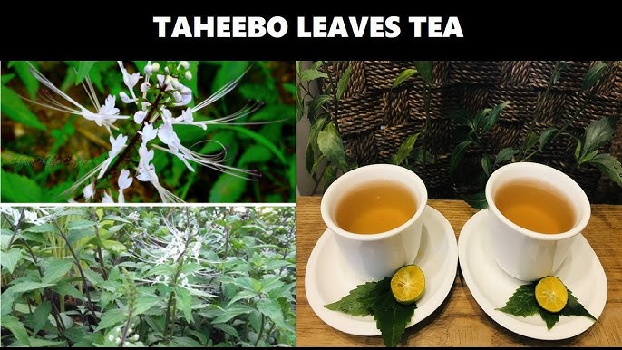 Lapacho herbal tea portion lying on the wooden spoon on mat, pile of  healthy Taheebo tea made from inner bark of the Pau darco Stock Photo -  Alamy