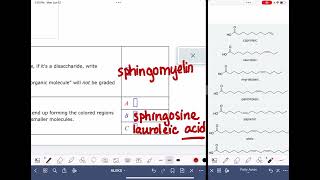 ALEKS: Identifying the parts of a sphingomyelin
