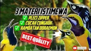 MASTERAN SOGON 3 MATERI | PLECI ZIPER CUCAKCUNGKO RAMBATAN DORAEMON #sogon #sogongacor #sogokontong