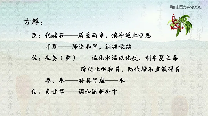 中医方剂学I 19 3 3  旋覆代赭汤 （完整中医课程目录请看视频描述栏） #医中精品# - 天天要闻