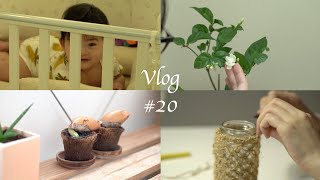 Vlog #20 🇲🇾大马疫情下的生活｜在家种榴莲 ｜麻绳编织花瓶 ｜苦瓜排骨汤｜茉莉花开了 ｜