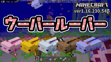 所長羊毛 Mp3 所長羊毛 Mp3