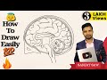 How to draw human brain step by step for beginners 