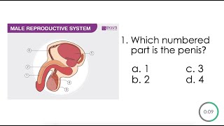 Grade 5- HUMAN REPRODUCTIVE SYSTEM || SCIENCE 5 K12 Review Test screenshot 5