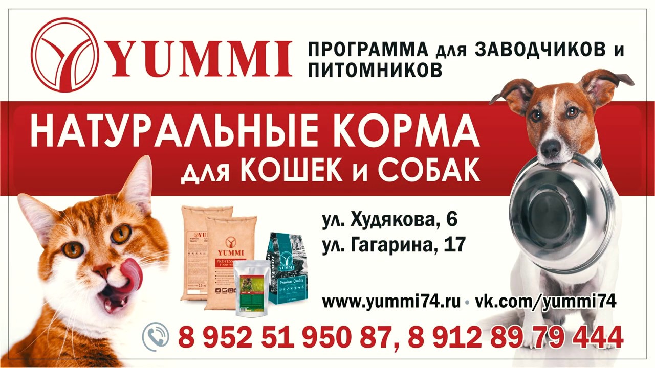 Сытая Морда Зоомагазин Тюмень Интернет Магазин