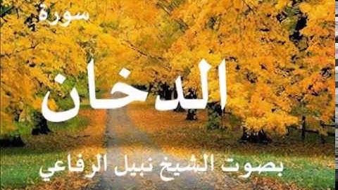 سورة الدخان بصوت الشيخ / نبيل الرفاعي 44