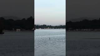 Vlog-461 Udaipur - Best Views #viral #friends #shorts #new #exploreshorts #travel