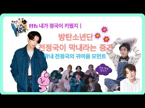 [방탄소년단/BTS] 방탄의 황금막내 전정꾹 귀여움 모먼트! 2  (찐과민)