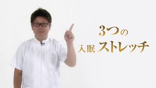 【ファイテン】Phiten Good Sleep 星のやすらぎ 療法士ボディピロー