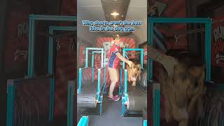 Why Shorts Arent The Best Idea In The Dog Gym