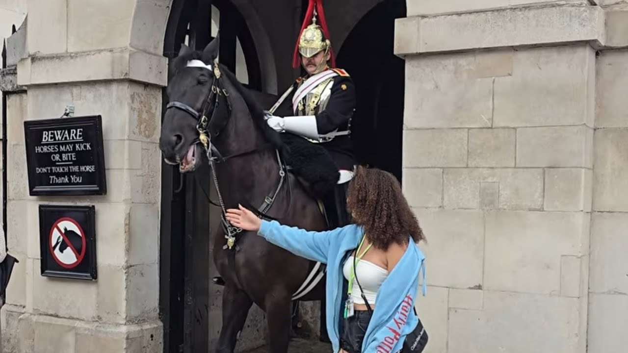 THE NERV OF THIS TOURIST 